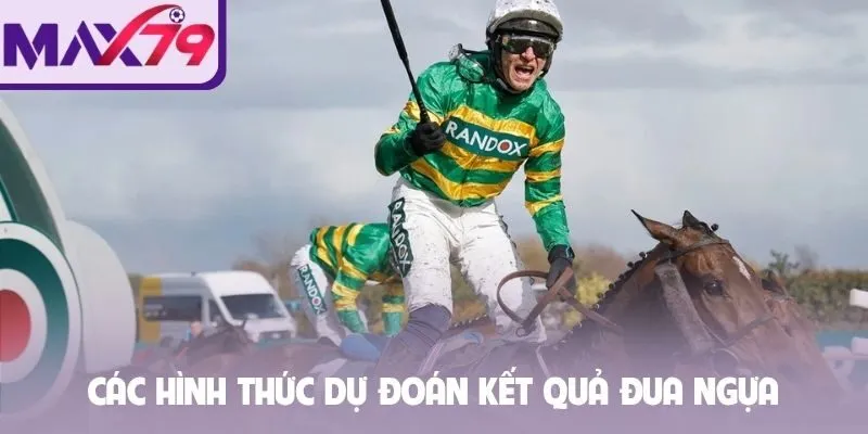 Các hình thức dự đoán kết quả đua ngựa